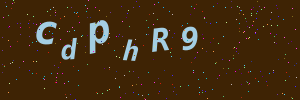 Validation image
